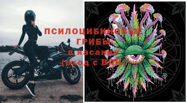 МДПВ Алзамай