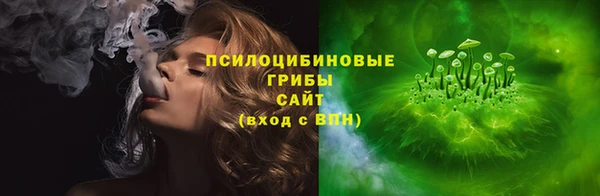 МДПВ Алзамай