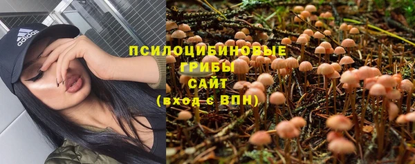 дурь Алексеевка