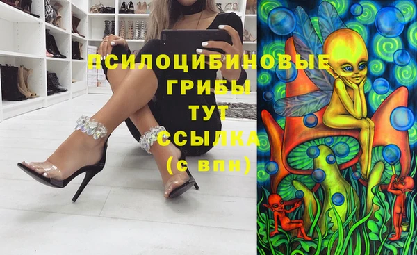 МДПВ Алзамай
