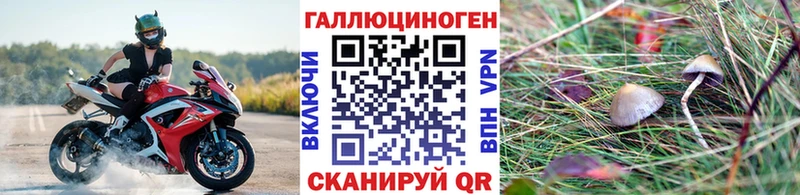 Псилоцибиновые грибы Psilocybine cubensis  Купить где  Яровое 