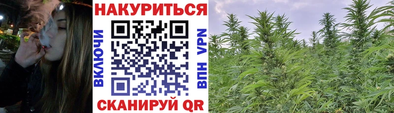 Купить  Яровое  Конопля марихуана 